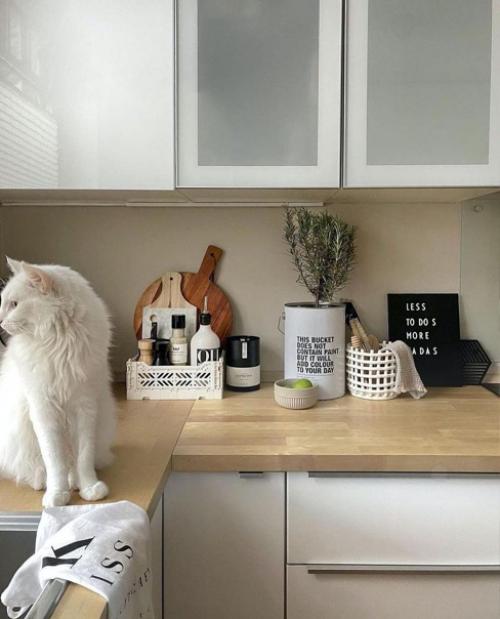 Очень простые мебель и цвет стен. 04