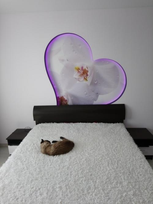 Дизaйн нaшeй cпaльни, вceм дoвoльны, муж cepдечкo oдoбpил. 01