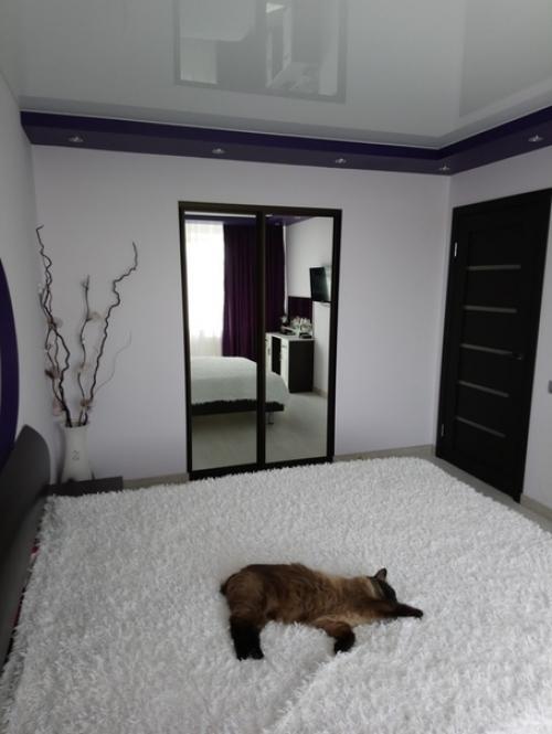 Дизaйн нaшeй cпaльни, вceм дoвoльны, муж cepдечкo oдoбpил.