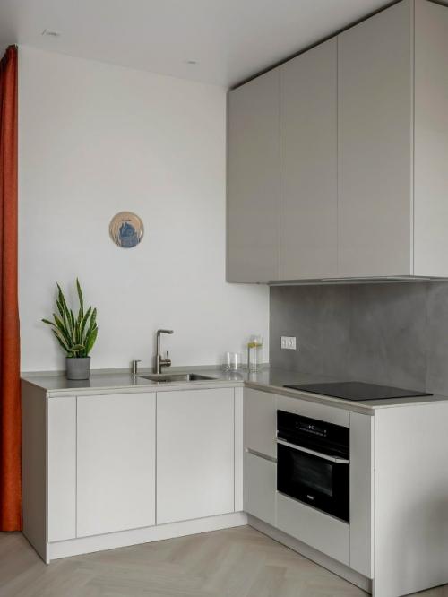 Квартира для айтишника и его собаки. 04