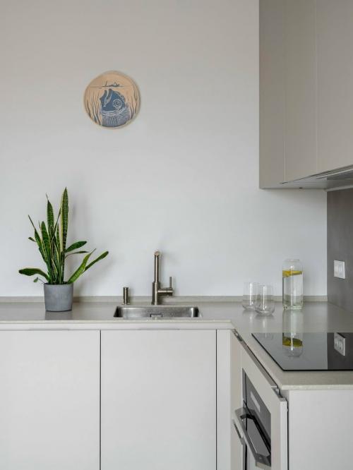 Квартира для айтишника и его собаки. 05