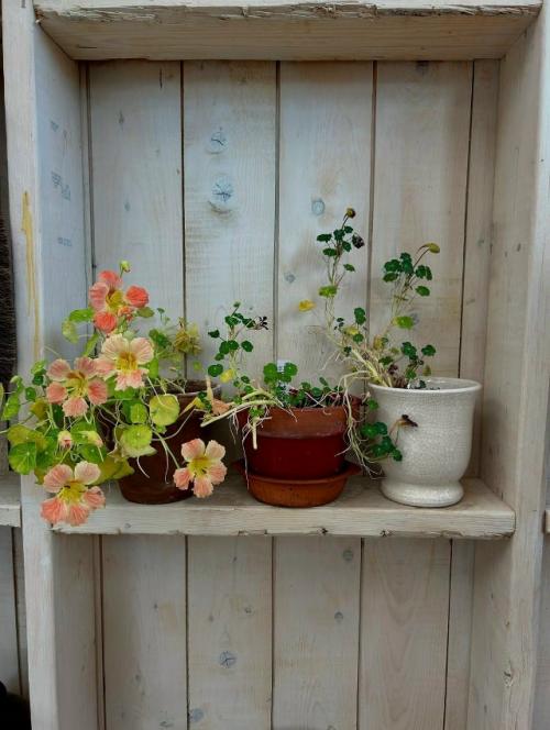 Винтажная веранда с атмосферой неспешного лета. 07