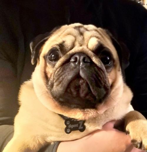 Первый большой ремонт - у меня с мужем очень многое сделано своими руками! 08