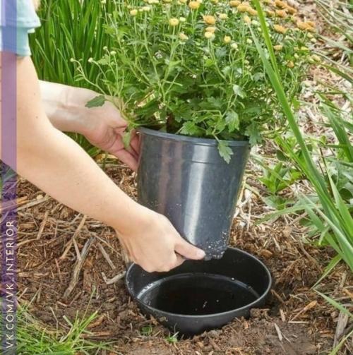 Интерьер и декор - советы. 01