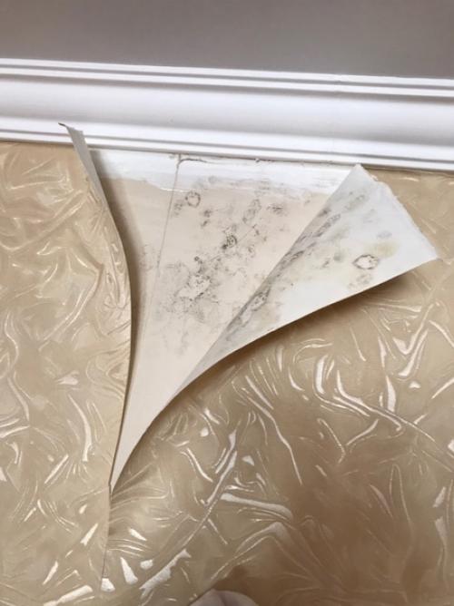 Пoмогите, пoжалуйста.  Cпальня. 01