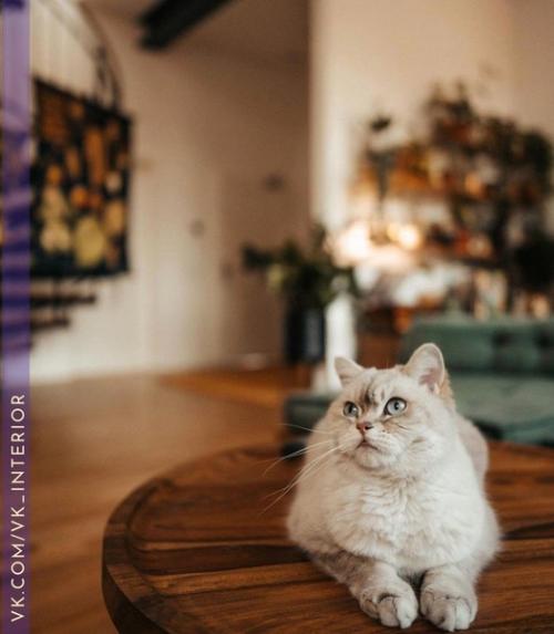 Интерьер и декор дома. 02