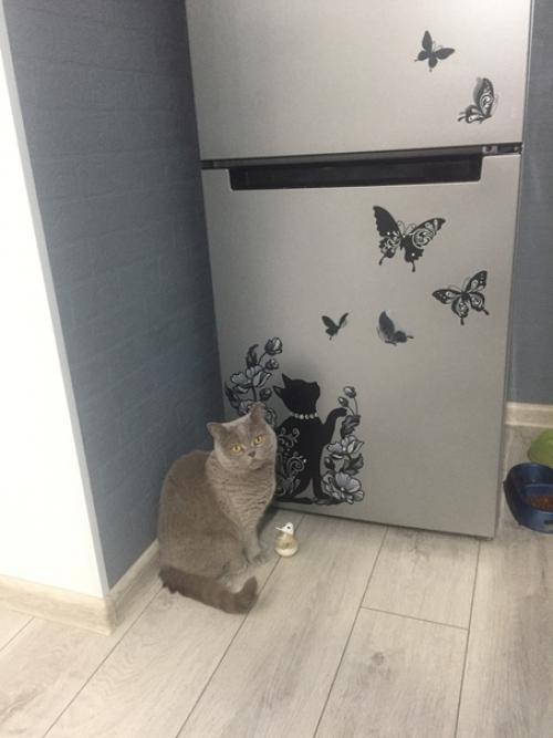 Муж сказал: Только не Белые Потолки. 08