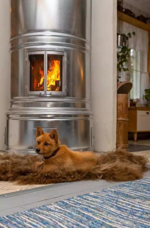 Молодая пара очень старую фабрику выкупила. 04