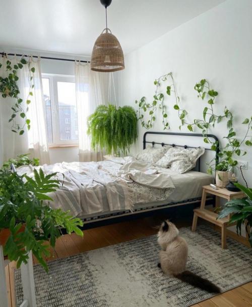 Небольшая трешка площадью 55 м 2, в хрущевском доме. 02