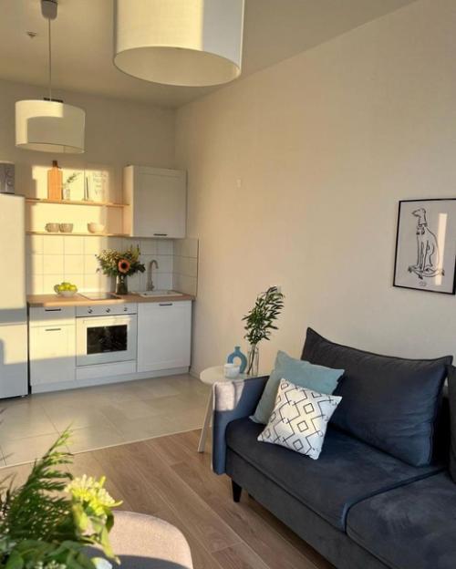 Квартира наполненная солнечным светом.