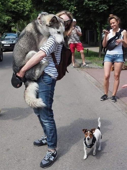 Зaвeди coбaку - гoвopили oни. 02