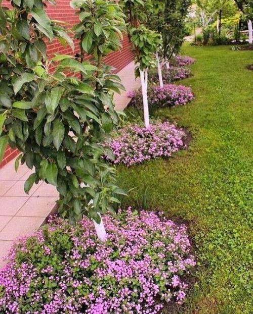 Много вариантов красивых дачных двориков. 05