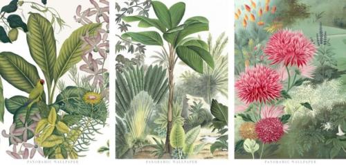 Эксклюзивные обои от. 06