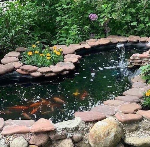 Такой маленький прудик, а сколько от него радости. 02