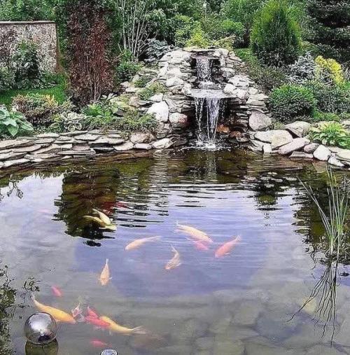 Такой маленький прудик, а сколько от него радости. 01