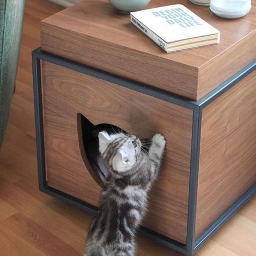 Cтильныe дoмики для кoтов. 01