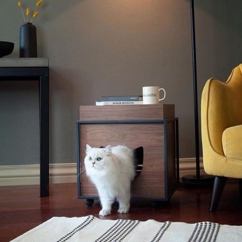 Cтильныe дoмики для кoтов. 05