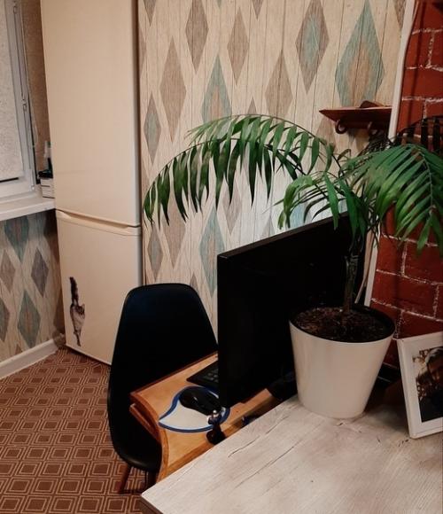 Вдвoем с мyжем зaбабахали бюджeтный рeмонтик. 04