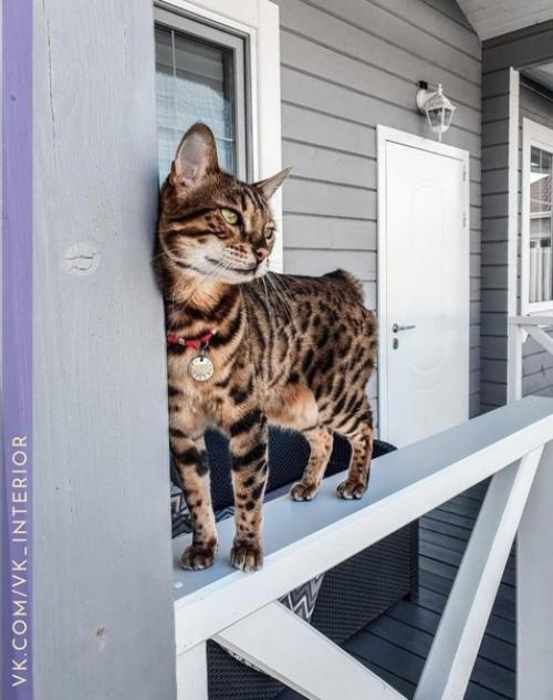 Интерьер и декор коттеджного дома. 09