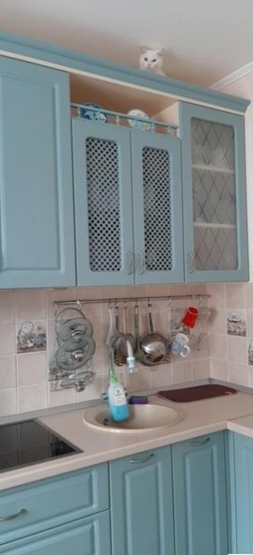 Рубрика кота найди. 01