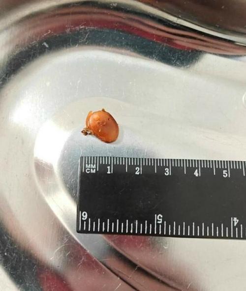 Тишина Находкой в ухе обернулась.

