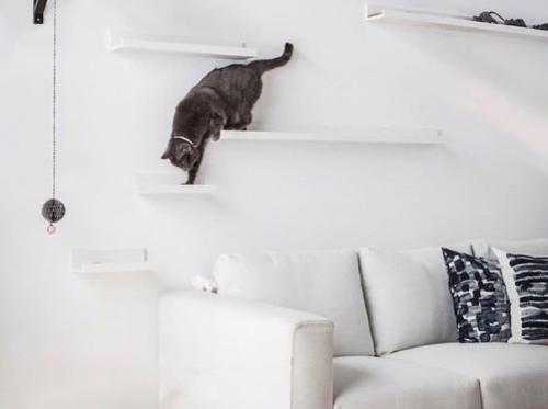 Олна полка из икеа, а сколько разнообразных вариантов её использования: 05