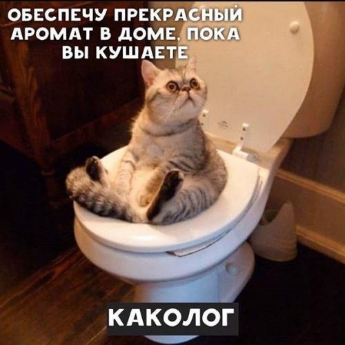 Еще тыгыдыколог и обжиролог. 03