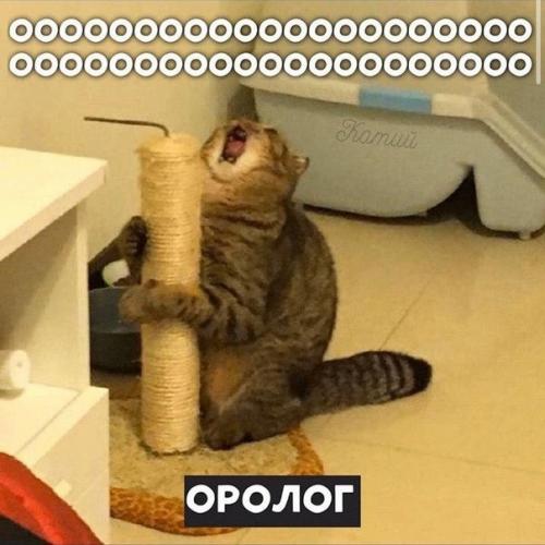 Еще тыгыдыколог и обжиролог. 05