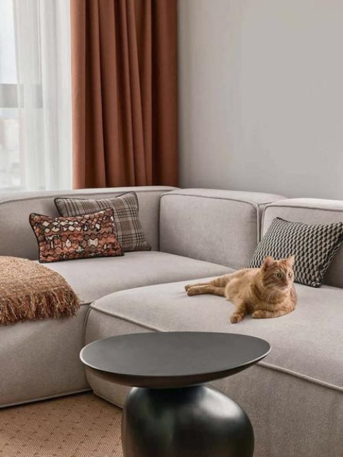 Евротрешка с характером и котом. 04