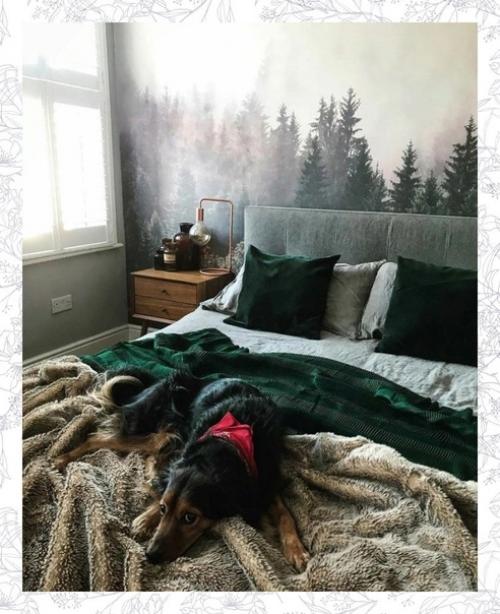 Обои нереальные. Предположу что постельное бельё из варёного хлопка. 07