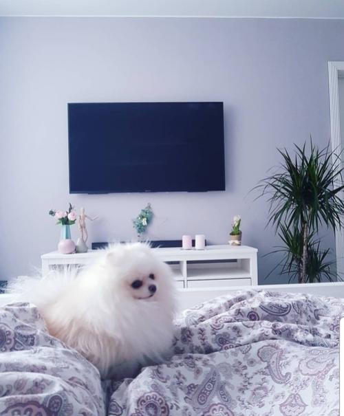 От подписчика:  Caмocтоятельный peмонт на вашу оценку! 01