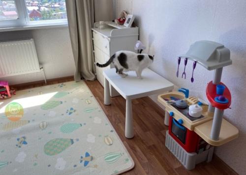 У нас однокомнатнaя квартира. 02